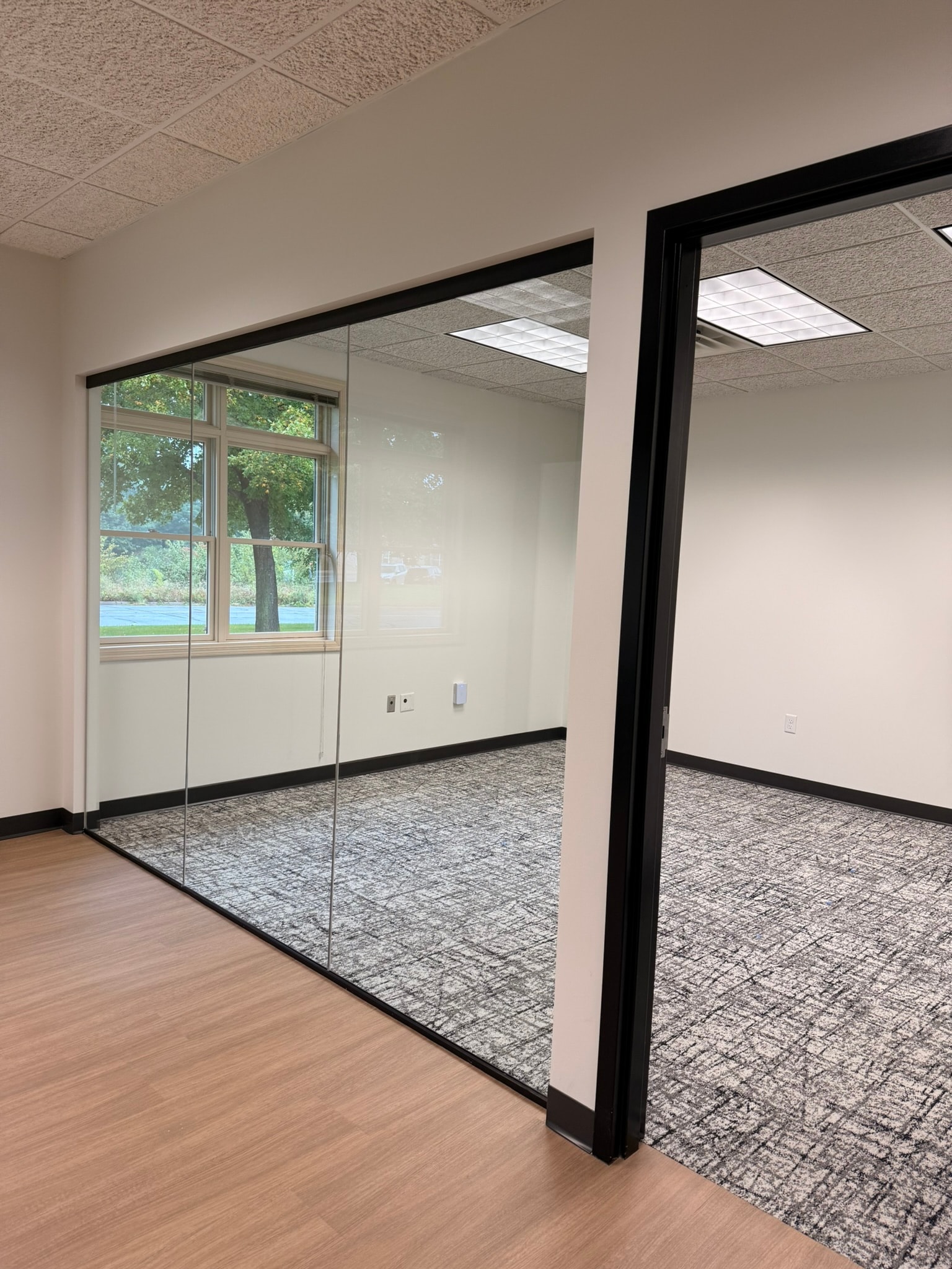 MSPA glass partition wall with black aluminum frame and patterned carpet tile