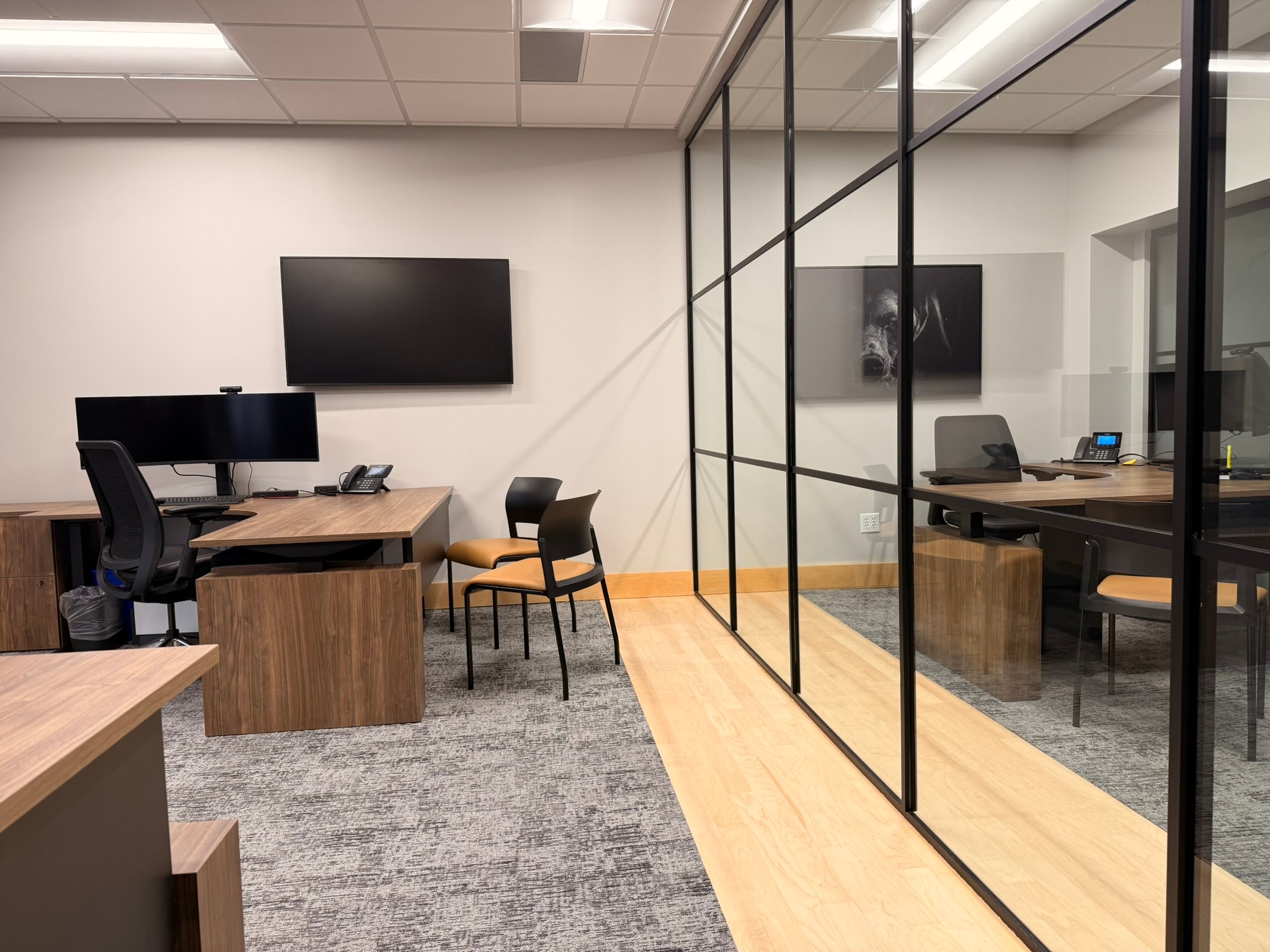 SnowPine Private Wealth glass-walled private offices with walnut desks, amber guest chairs, and black partition frames